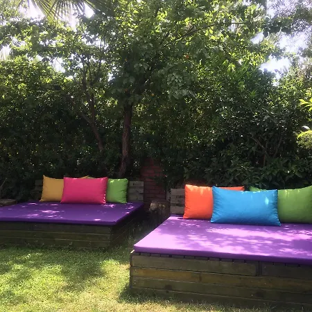 בית הארחה Doga - Adult Only +15 *
