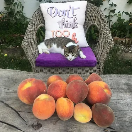 Doga - Adult Only +15 * דליאן